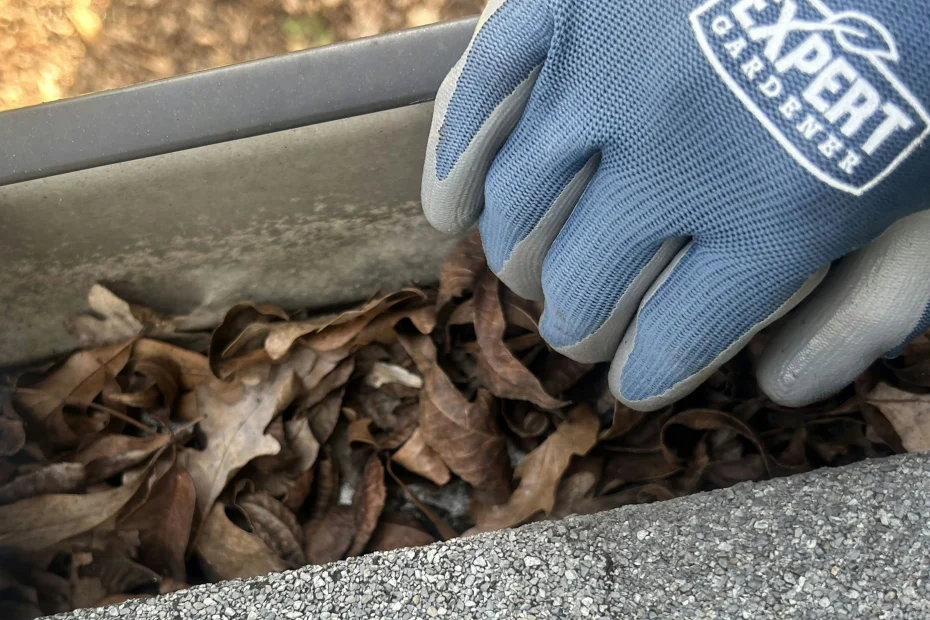 Easton Gutter Cleaning